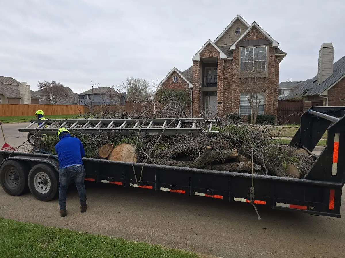 Expert Tree Fertilization with proper safety equipment in Nogal